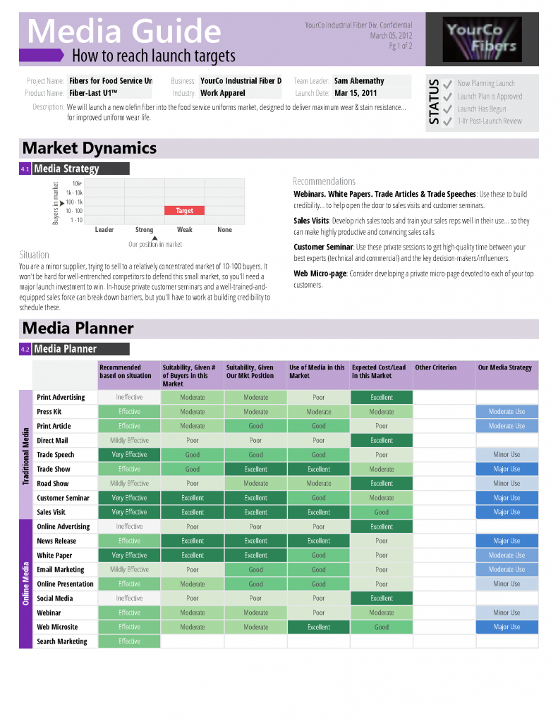 Document showing market dynamics, media planner, and media records designed to share with launch stakeholders