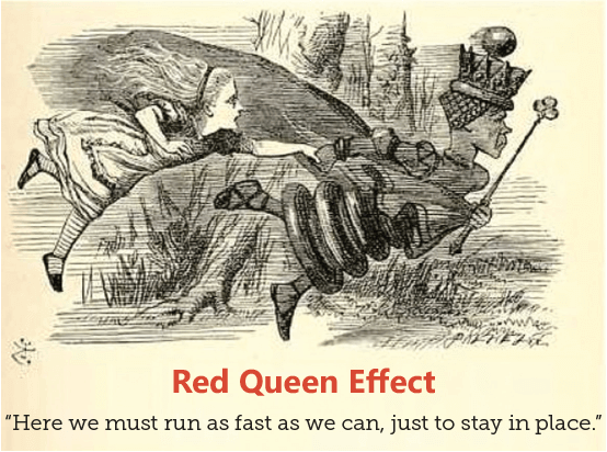 The Red Queen Effect - "Here we must run as fast as we can, just to stay in place."