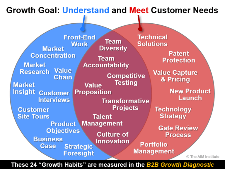 Growth Capability Diagnostic: Time to measure your company's abilities