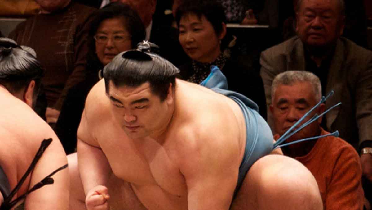 173 Sumo Wrestler