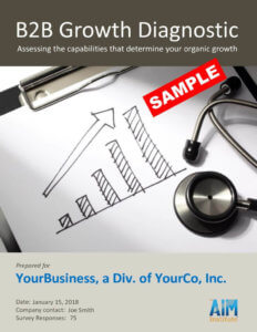 B2B Growth Diagnostic Report SAMPLE pdf 791x1024