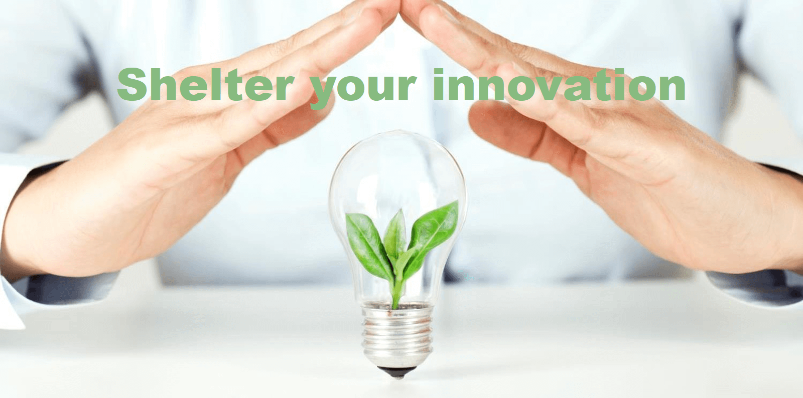 B2B-Leaders-Should-Shelter-Their-New-Product-Innovation-Teams