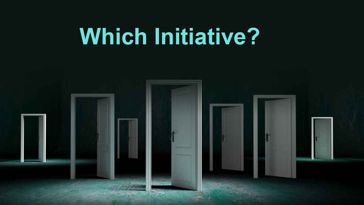 314-Which-initiative