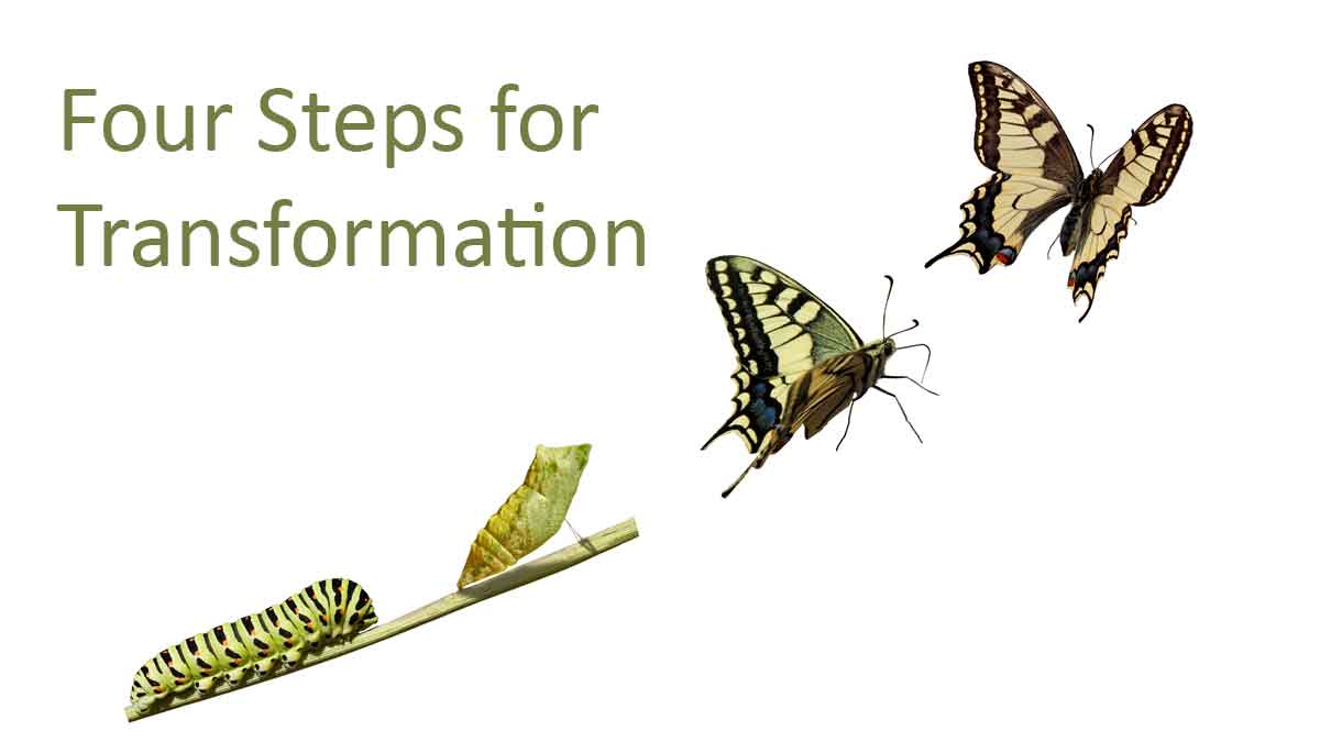 330-4-Steps-for-transformation