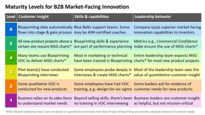 6 Maturity levels B2B companies can use to assess their capacity for growth